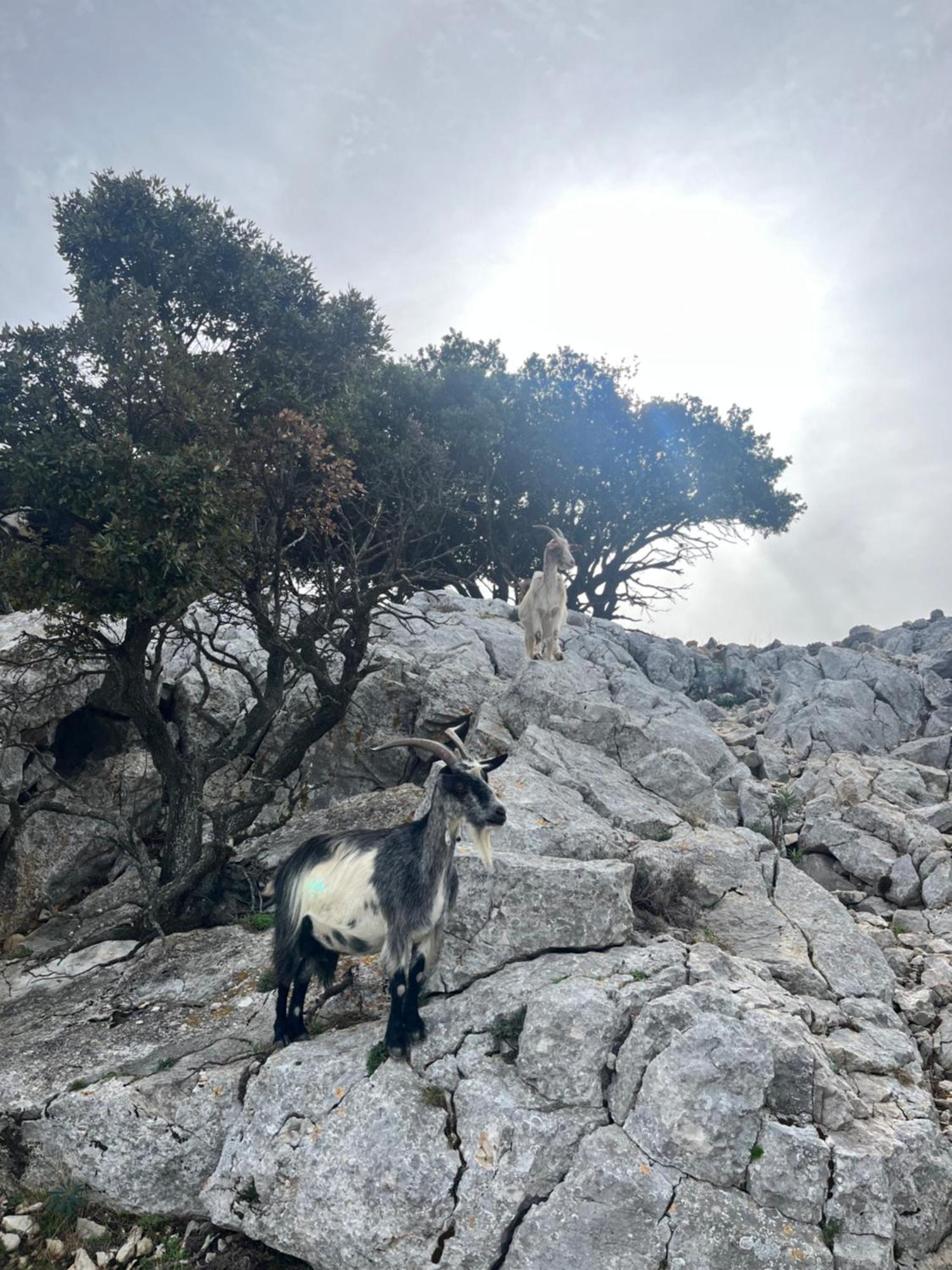 Petit Paradis A Sanary Avec Vue Mer Wifi Et Clim Exterior foto